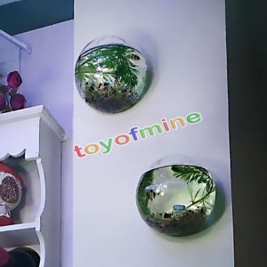 10cm Hanging Glass Flower Planter Vase Terrarium Container Home Ball Fashion   362191087123